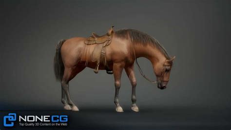 If you’re looking for a 3D construction software that won’t break the bank, you’re not alone. . 3d horse porn